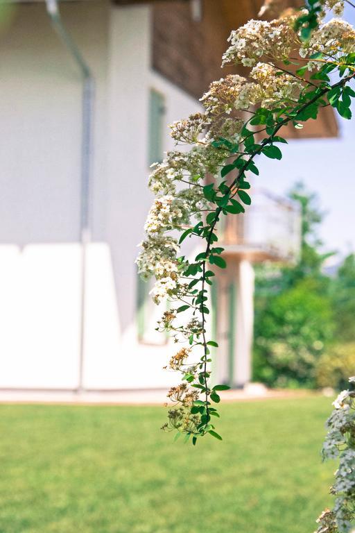 Agriturismo Locanda De L'Arguta トレント エクステリア 写真